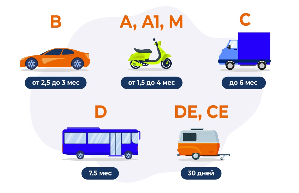 6_1@2x-100.jpg 6_1@2x-100.jpg